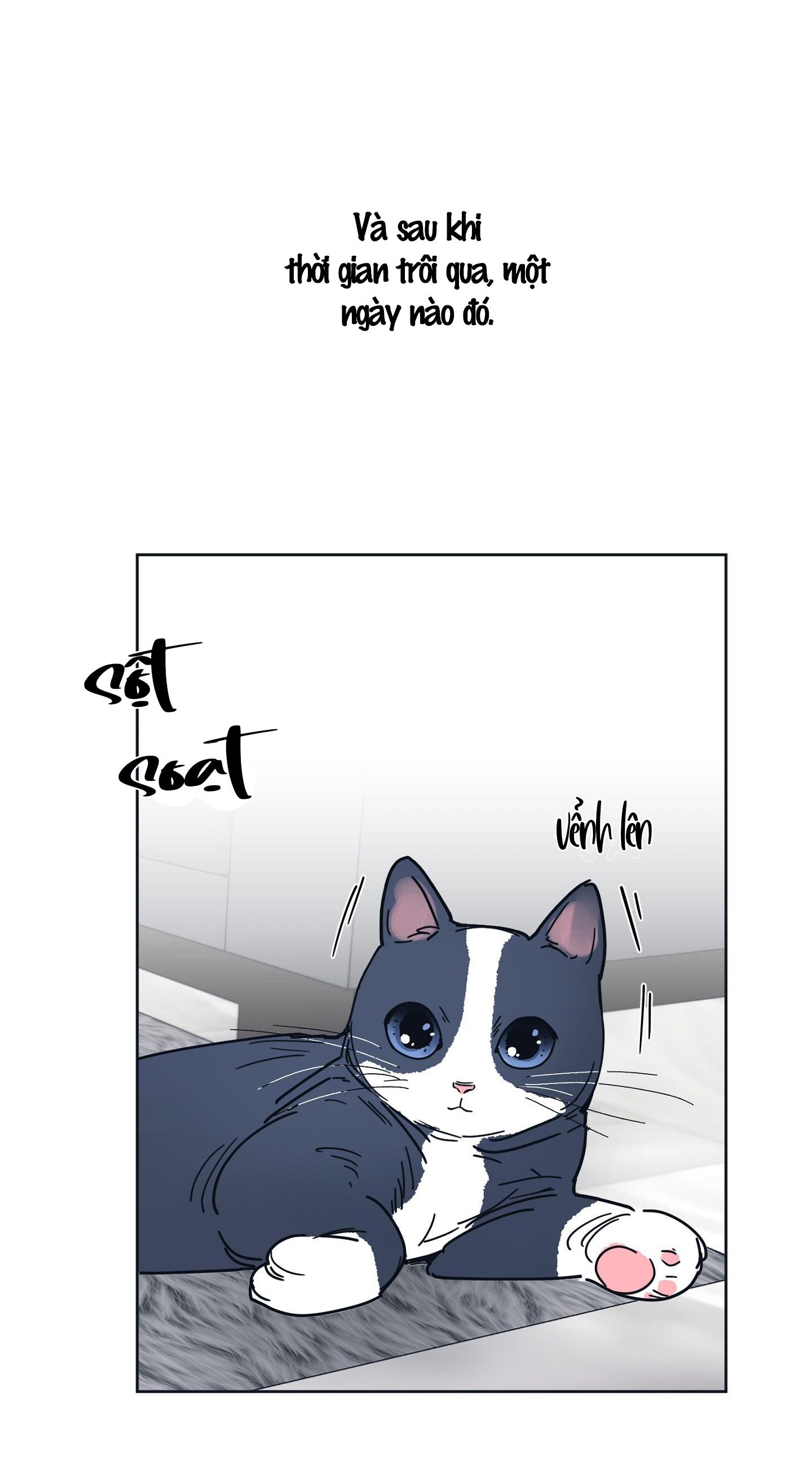Đọc truyện Tuyển Tập Manhwa Dằm Khăm - Chapter 17