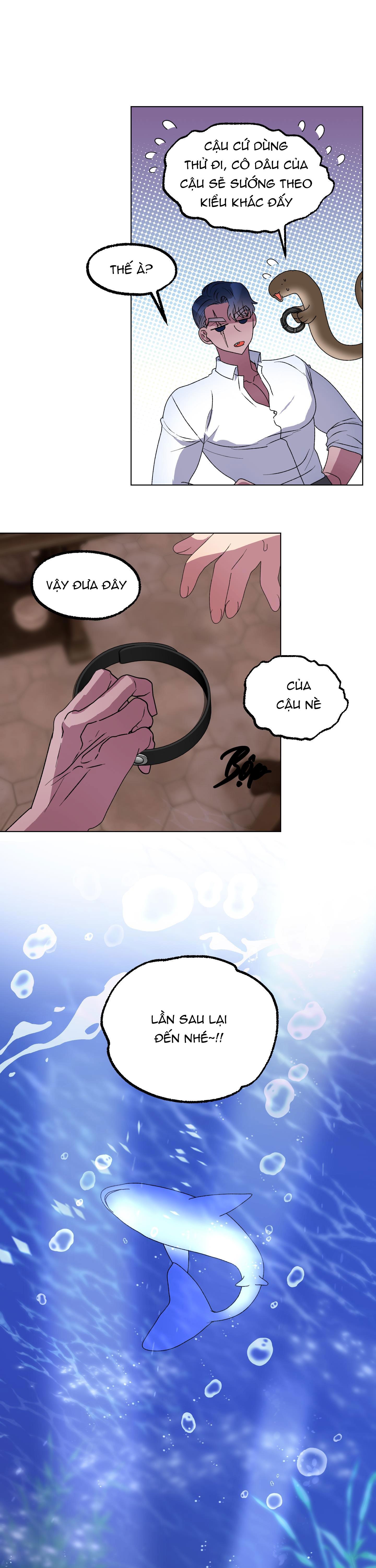 Đọc truyện CÁ MẬP VÀ CÔ DÂU THỎ - Chapter 10