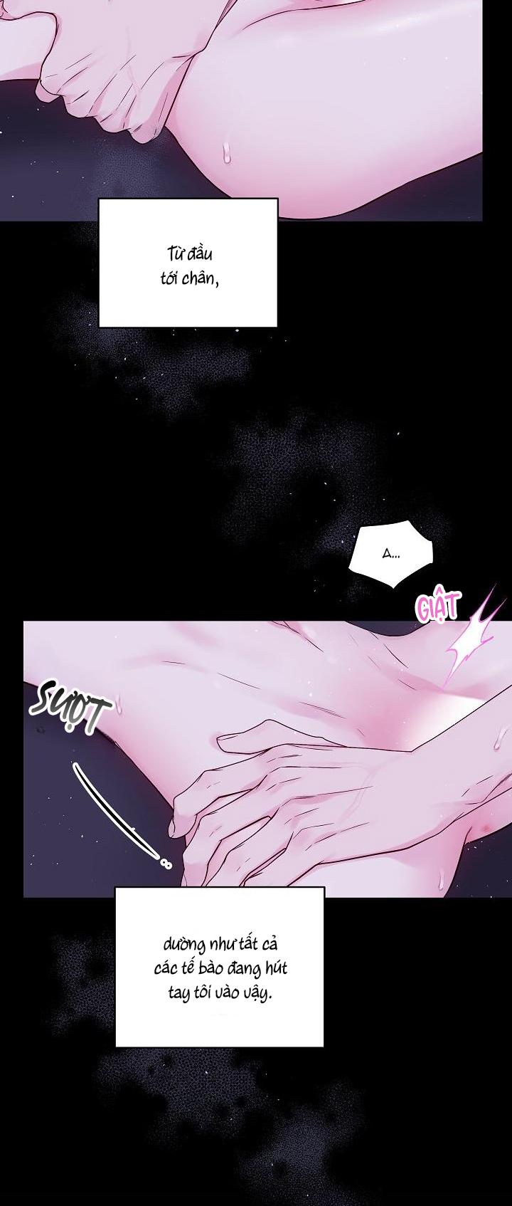 Đọc truyện BÌNH MINH THỨ HAI - Chapter 54