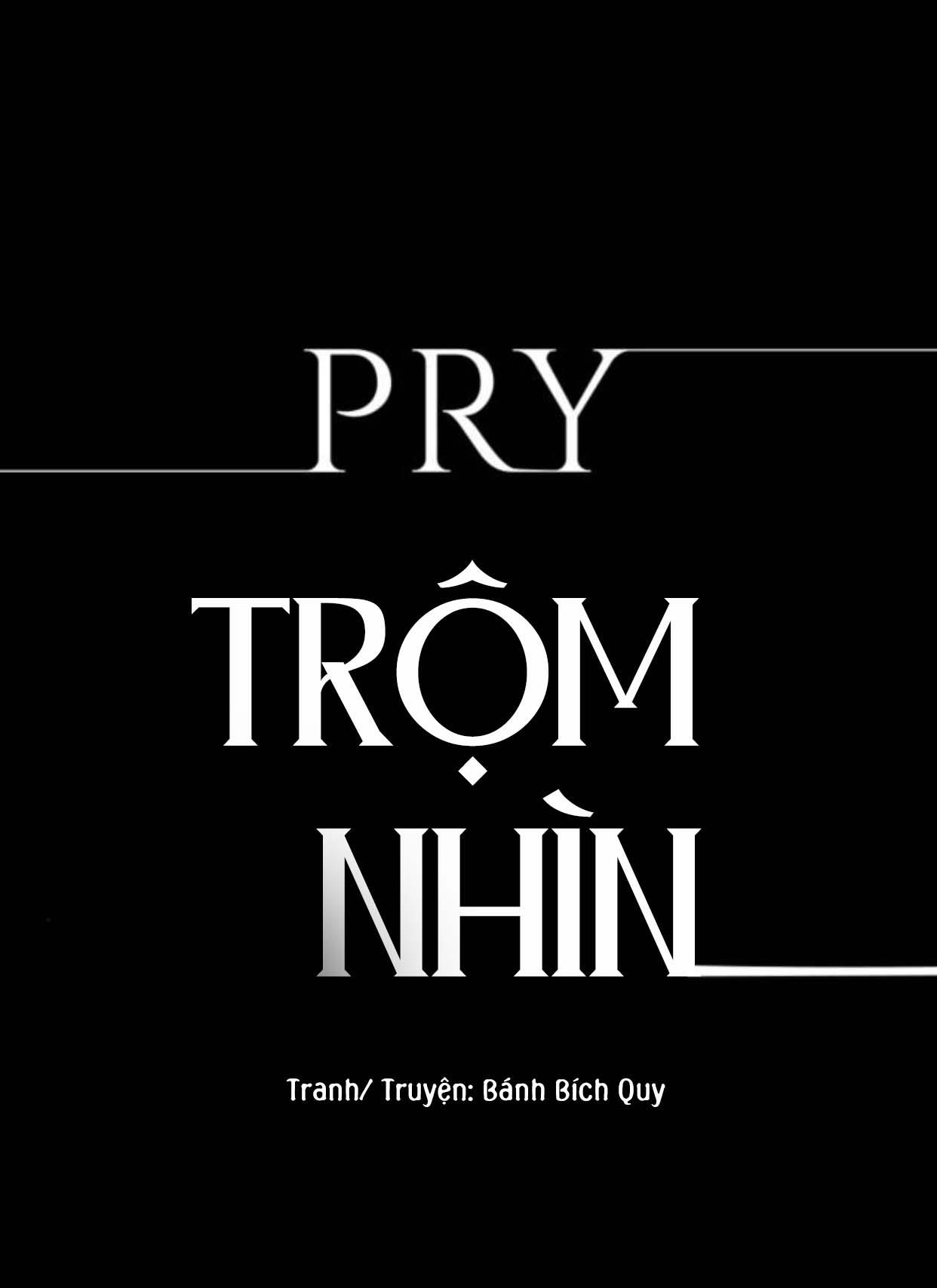 Đọc truyện PRY (Trộm Nhìn) -END - Chapter 13