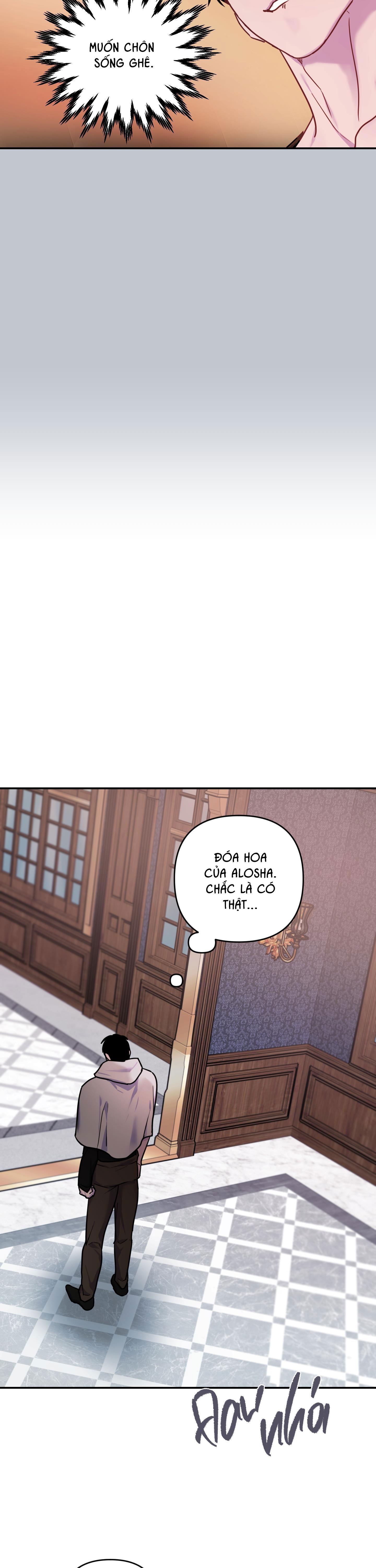 Đọc truyện ĐÓA HOA CỦA ALOSHA - Chapter 14