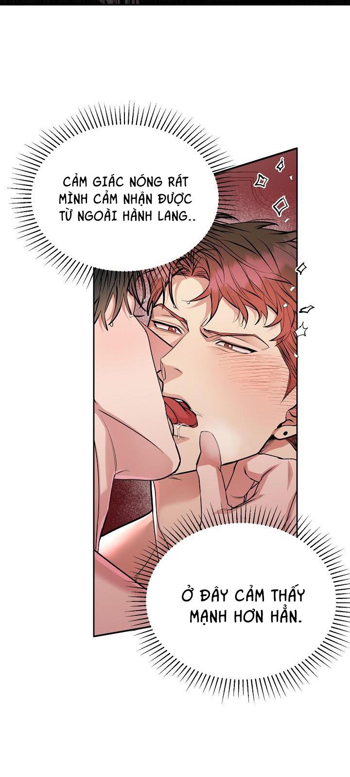 Đọc truyện CHÓ VÀ CHIM - Chapter 9