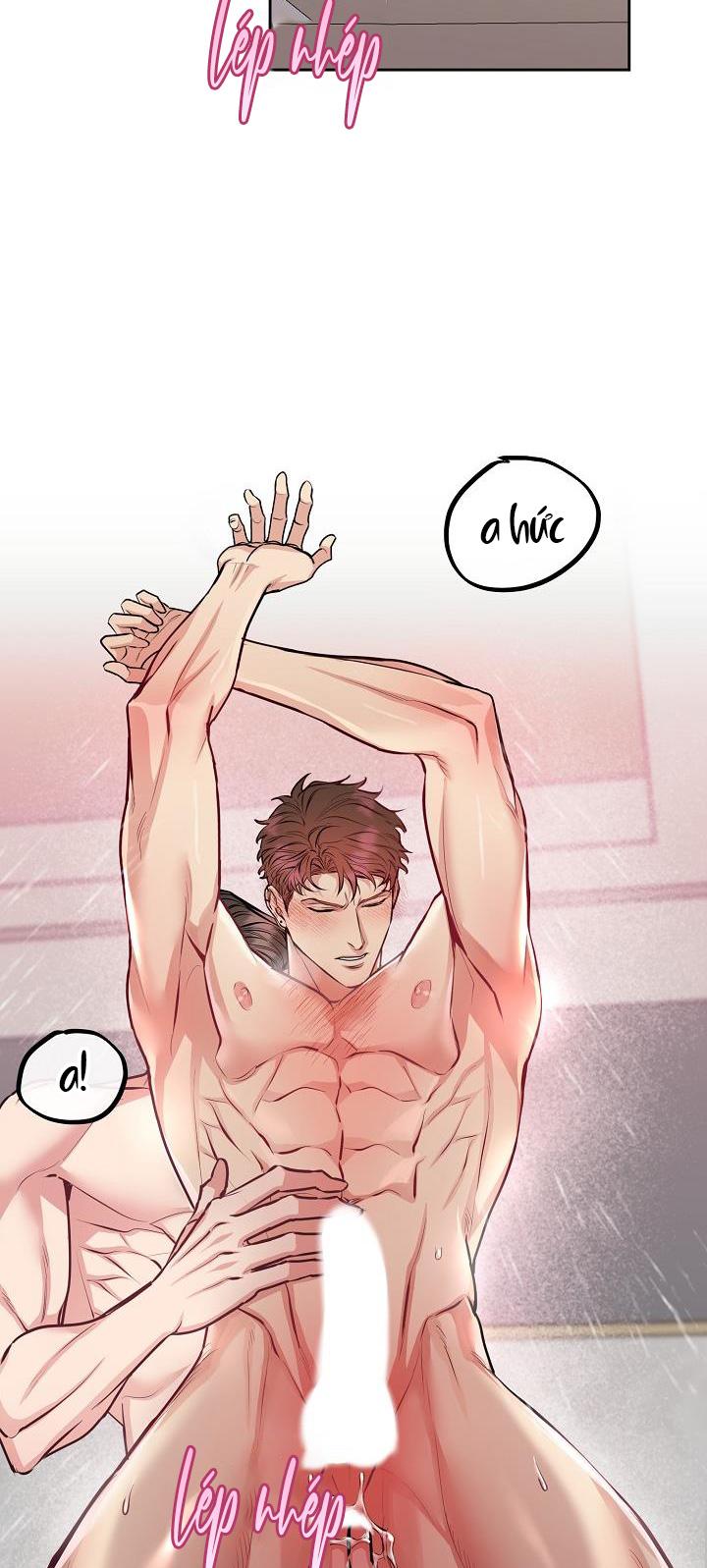 Đọc truyện CHÓ VÀ CHIM - Chapter 9