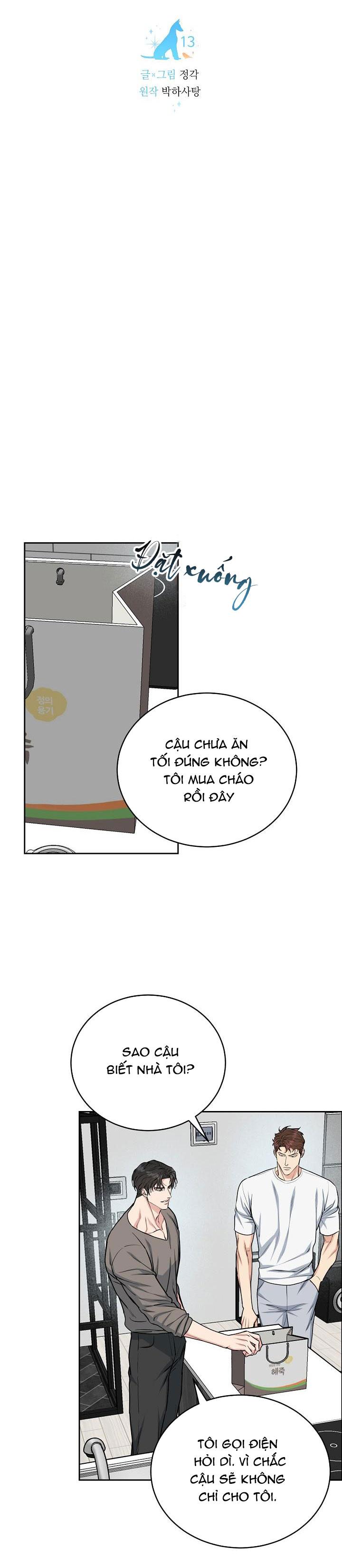 Đọc truyện CHÓ VÀ CHIM - Chapter 13